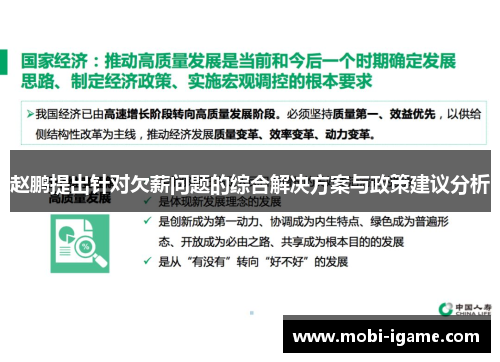 赵鹏提出针对欠薪问题的综合解决方案与政策建议分析 赵鹏提出针对欠薪问题的综合解决方案与政策建议分析