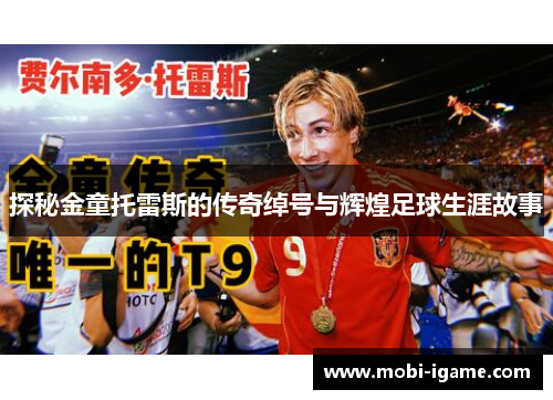 探秘金童托雷斯的传奇绰号与辉煌足球生涯故事